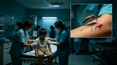 Aurora dengue cases surge 137% to 2,172