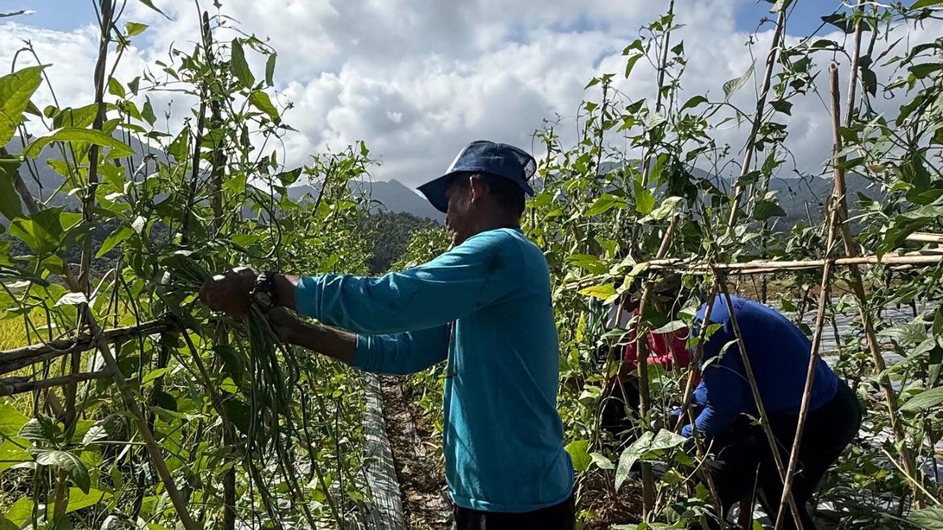 Cadcadir farmers’ harvest boosted