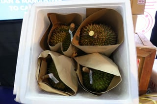 Phl opens Canada market for durian, mangosteen

