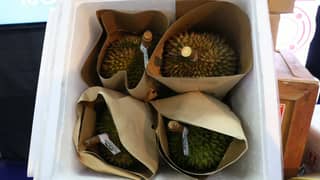 Phl opens Canada market for durian, mangosteen