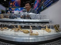 World Pet Expo 2026