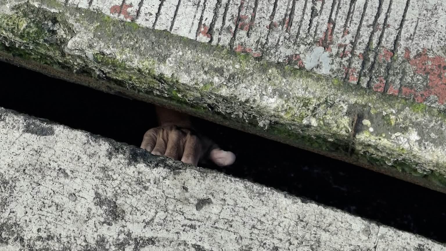 Bizarre sewer rescue near pawnshop triggers burglary suspicions