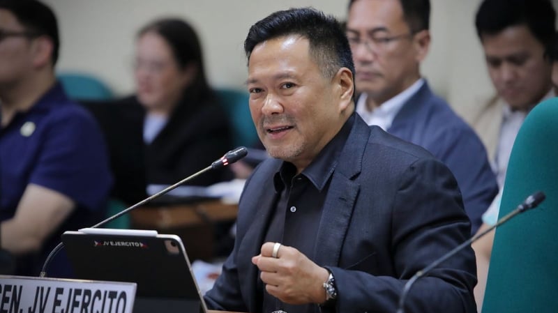 Ejercito flags P8.2-B DPWH anti-flood items