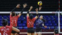 Adamson makes winning Unity Cup debut