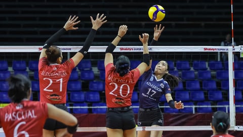 Adamson makes winning Unity Cup debut