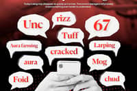 THE popularity of Internet slang reflects how quickly online culture can influence everyday language.