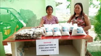 Daram women turn sea into salt
