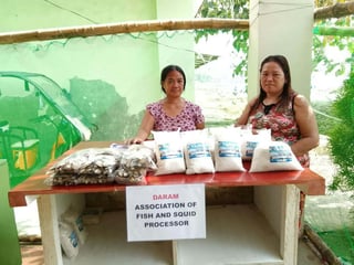 Solar salt production boosts income of Samar women