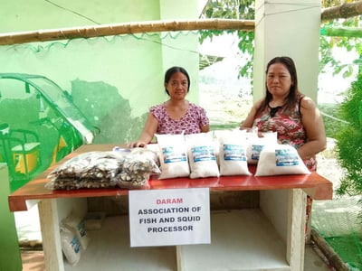 Solar salt production boosts income of Samar women