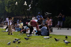 Family bonding in Luneta