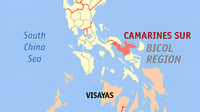 Cam. Sur declares state of calamity over rising dengue cases