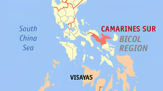 Cam. Sur declares state of calamity over rising dengue cases