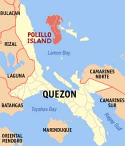 16 fishermen held in Polillo fishing operation