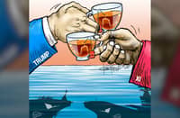As Trump, Xi sip tea