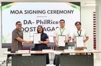 DA, PAGASA partner to utilize weather data, rice data for food security