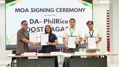 DA, PAGASA partner to utilize weather data, rice data for food security