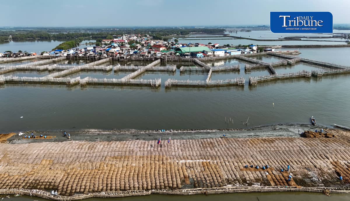 NATURE-BASED DEFENSE VS FLOODING, EROSION
An aerial view shows the Philippines’ first nature-based coastal protection pilot project in Barangay Pamarawan, Malolos City, Bulacan, on Tuesday, 29 September 2026.
The project uses interlocking bamboo frames and cribbing to reduce wave energy and trap sediments along the shoreline, while oyster bags and sediment traps help raise the seabed and support oyster reef recovery and aquatic habitats.
The initiative was developed by Dutch engineering firm Haskoning in partnership with the Malolos City government. | Analy Labor