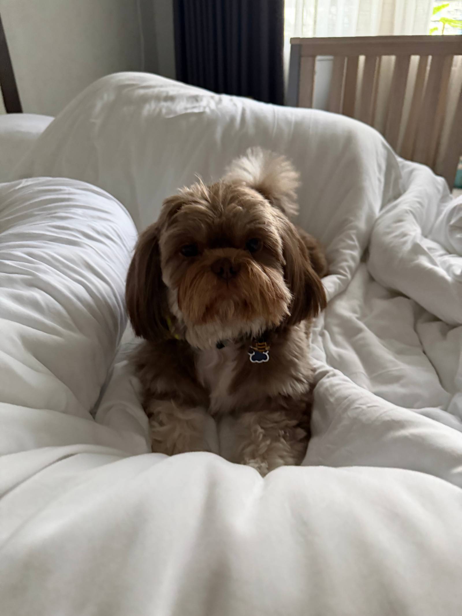 ARCHIE