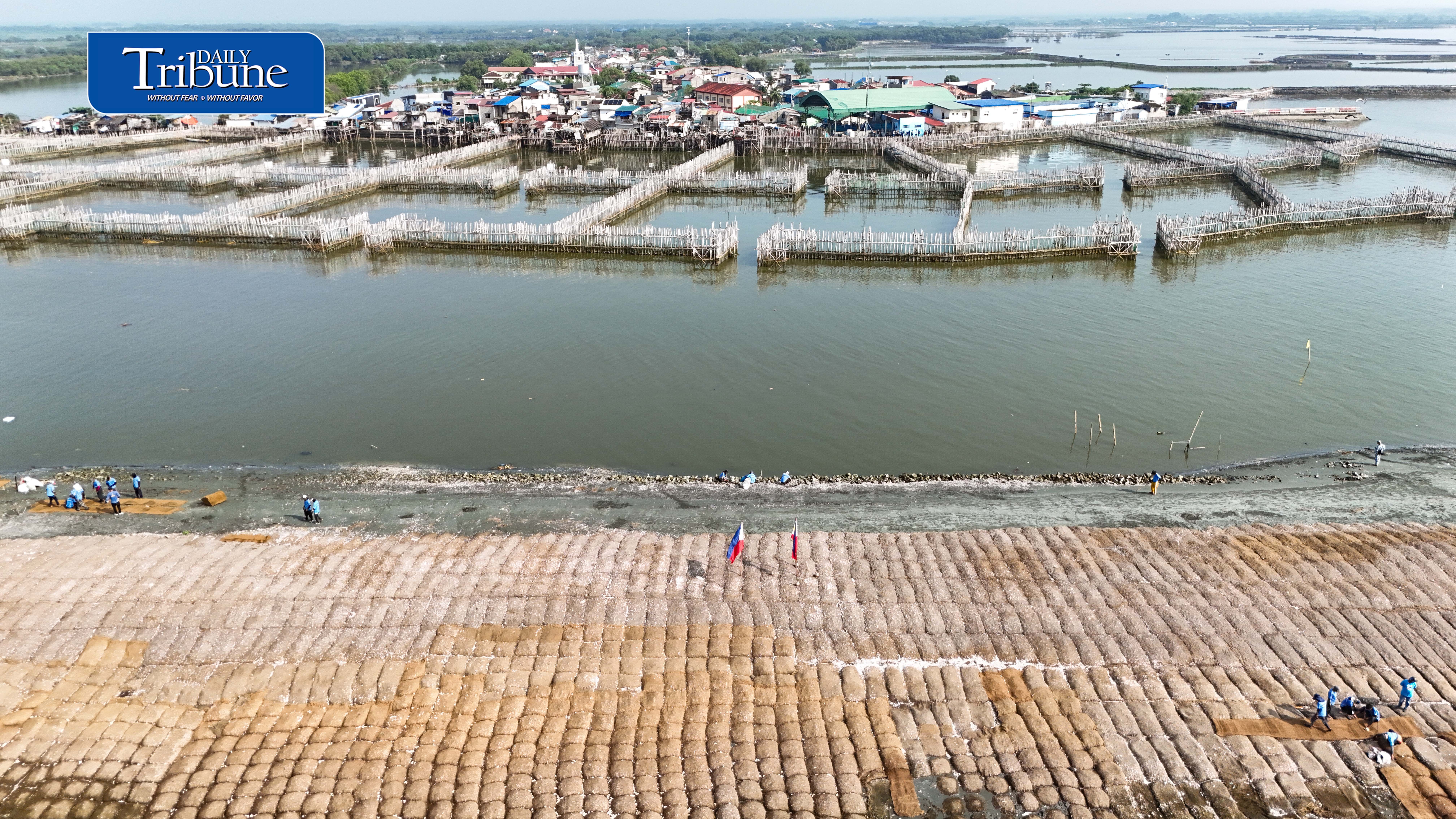 DPWH eyes nature-based flood defenses along North Manila Bay