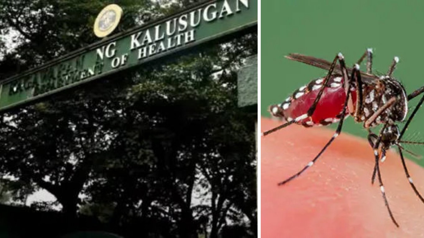 DoH tracks 21K new dengue cases