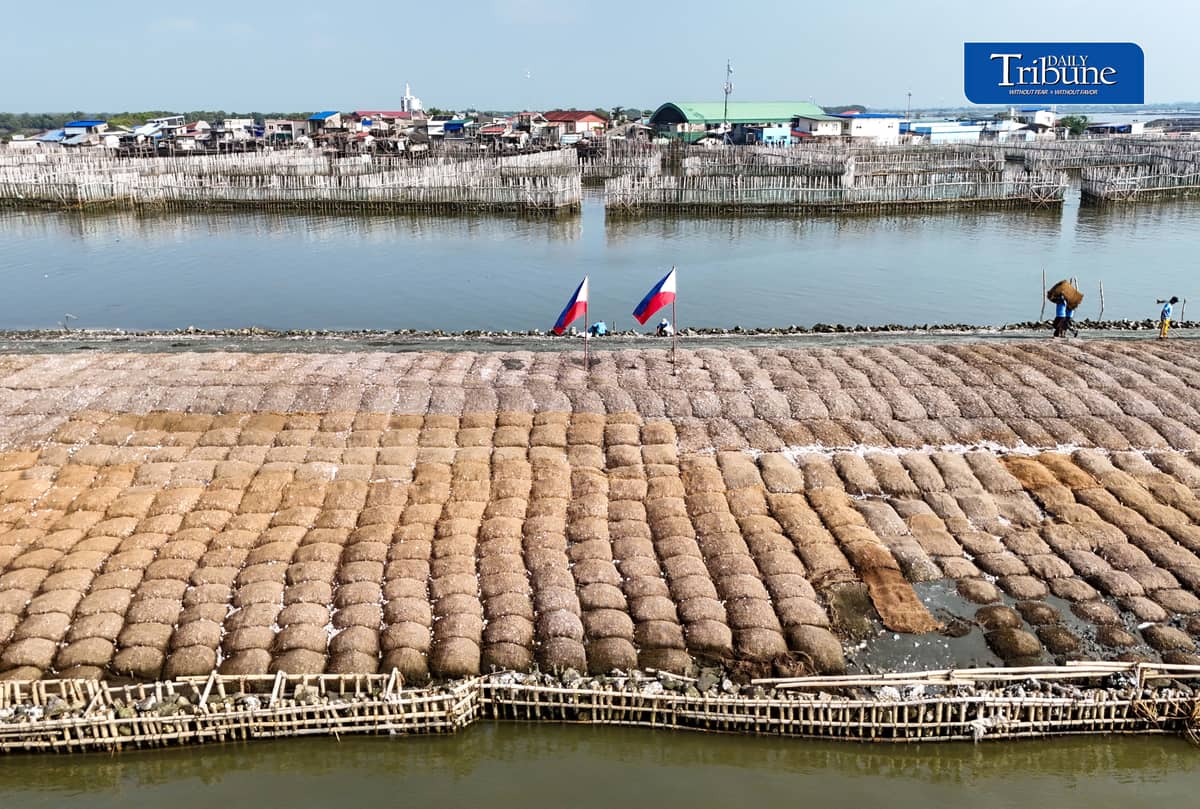 NATURE-BASED DEFENSE VS FLOODING, EROSION
An aerial view shows the Philippines’ first nature-based coastal protection pilot project in Barangay Pamarawan, Malolos City, Bulacan, on Tuesday, 29 September 2026.
The project uses interlocking bamboo frames and cribbing to reduce wave energy and trap sediments along the shoreline, while oyster bags and sediment traps help raise the seabed and support oyster reef recovery and aquatic habitats.
The initiative was developed by Dutch engineering firm Haskoning in partnership with the Malolos City government. | Analy Labor