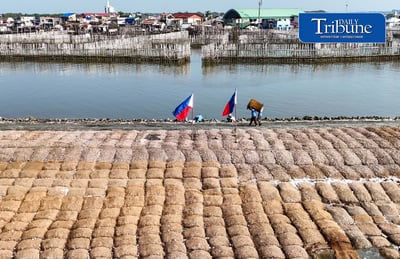 Pamarawan nature-based coastal protection project