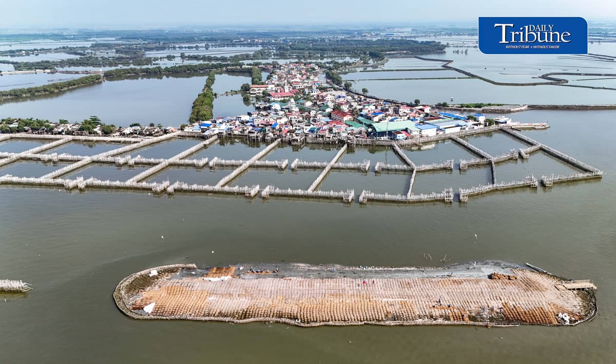 NATURE-BASED DEFENSE VS FLOODING, EROSION
An aerial view shows the Philippines’ first nature-based coastal protection pilot project in Barangay Pamarawan, Malolos City, Bulacan, on Tuesday, 29 September 2026.
The project uses interlocking bamboo frames and cribbing to reduce wave energy and trap sediments along the shoreline, while oyster bags and sediment traps help raise the seabed and support oyster reef recovery and aquatic habitats.
The initiative was developed by Dutch engineering firm Haskoning in partnership with the Malolos City government. | Analy Labor