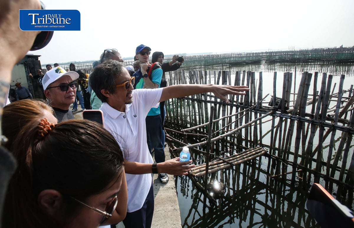 (September 29 2026) DPWH Secretary Vince Dizon along with delegates from Netherlands inspect the Nature-Based coastal protection project at Pamarawan, Malolos Bulacan on Tuesday September 29 2026. The project uses interlocking bamboo and cribbing to reduce incoming wave energy to the shoreline. Oyster bags and sediment traps capture drifting mud and sand, gradually raising the low-lying seabed while encouraging natural oyster reef recovery and creating localized aquatic habitats. The project was developed by Dutch engineering firm Haskoning in partnership with the Malolos City government. Photo/Analy Labor