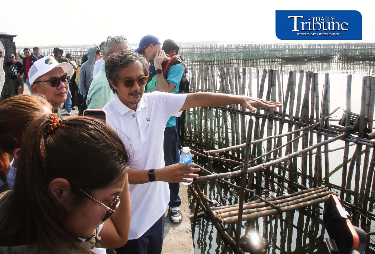 (September 29 2026) DPWH Secretary Vince Dizon along with delegates from Netherlands inspect the Nature-Based coastal protection project at Pamarawan, Malolos Bulacan on Tuesday September 29 2026. The project uses interlocking bamboo and cribbing to reduce incoming wave energy to the shoreline. Oyster bags and sediment traps capture drifting mud and sand, gradually raising the low-lying seabed while encouraging natural oyster reef recovery and creating localized aquatic habitats. The project was developed by Dutch engineering firm Haskoning in partnership with the Malolos City government. Photo/Analy Labor