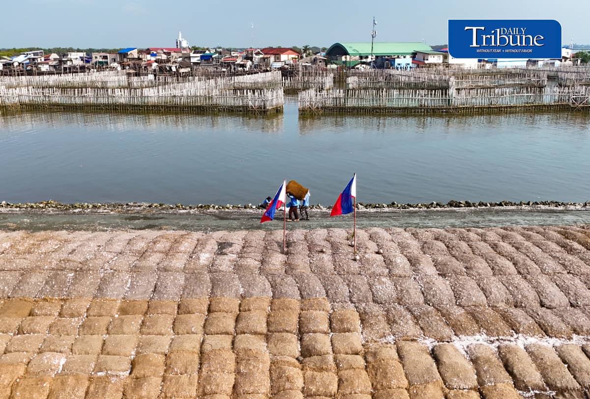 NATURE-BASED DEFENSE VS FLOODING, EROSION
An aerial view shows the Philippines’ first nature-based coastal protection pilot project in Barangay Pamarawan, Malolos City, Bulacan, on Tuesday, 29 September 2026.
The project uses interlocking bamboo frames and cribbing to reduce wave energy and trap sediments along the shoreline, while oyster bags and sediment traps help raise the seabed and support oyster reef recovery and aquatic habitats.
The initiative was developed by Dutch engineering firm Haskoning in partnership with the Malolos City government. | Analy Labor