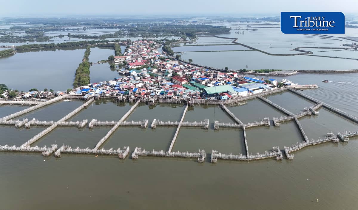 NATURE-BASED DEFENSE VS FLOODING, EROSION
An aerial view shows the Philippines’ first nature-based coastal protection pilot project in Barangay Pamarawan, Malolos City, Bulacan, on Tuesday, 29 September 2026.
The project uses interlocking bamboo frames and cribbing to reduce wave energy and trap sediments along the shoreline, while oyster bags and sediment traps help raise the seabed and support oyster reef recovery and aquatic habitats.
The initiative was developed by Dutch engineering firm Haskoning in partnership with the Malolos City government. | Analy Labor