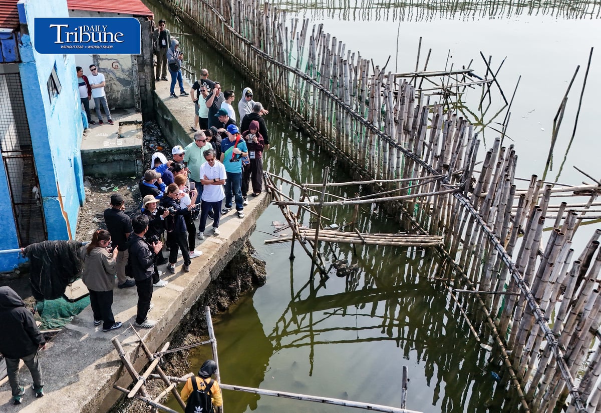 (September 29 2026) DPWH Secretary Vince Dizon along with delegates from Netherlands inspect the Nature-Based coastal protection project at Pamarawan, Malolos Bulacan on Tuesday September 29 2026. The project uses interlocking bamboo and cribbing to reduce incoming wave energy to the shoreline. Oyster bags and sediment traps capture drifting mud and sand, gradually raising the low-lying seabed while encouraging natural oyster reef recovery and creating localized aquatic habitats. The project was developed by Dutch engineering firm Haskoning in partnership with the Malolos City government. Photo/Analy Labor