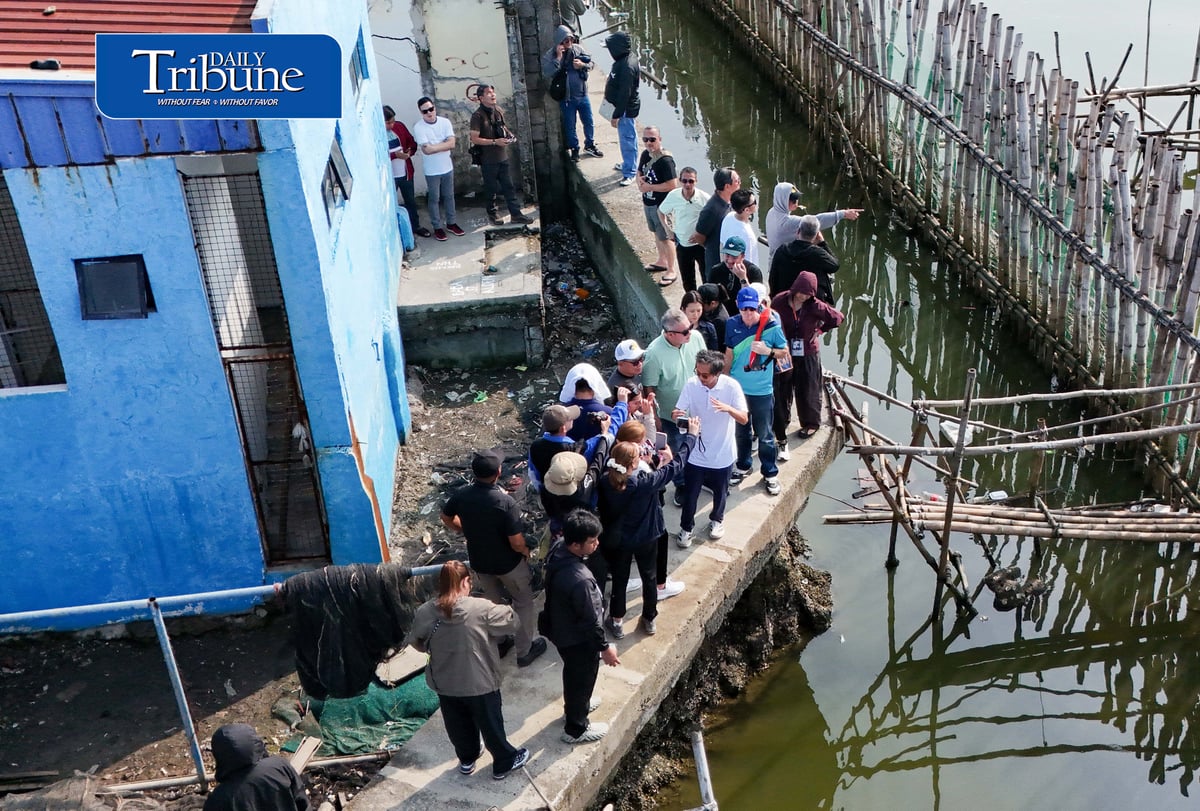 (September 29 2026) DPWH Secretary Vince Dizon along with delegates from Netherlands inspect the Nature-Based coastal protection project at Pamarawan, Malolos Bulacan on Tuesday September 29 2026. The project uses interlocking bamboo and cribbing to reduce incoming wave energy to the shoreline. Oyster bags and sediment traps capture drifting mud and sand, gradually raising the low-lying seabed while encouraging natural oyster reef recovery and creating localized aquatic habitats. The project was developed by Dutch engineering firm Haskoning in partnership with the Malolos City government. Photo/Analy Labor