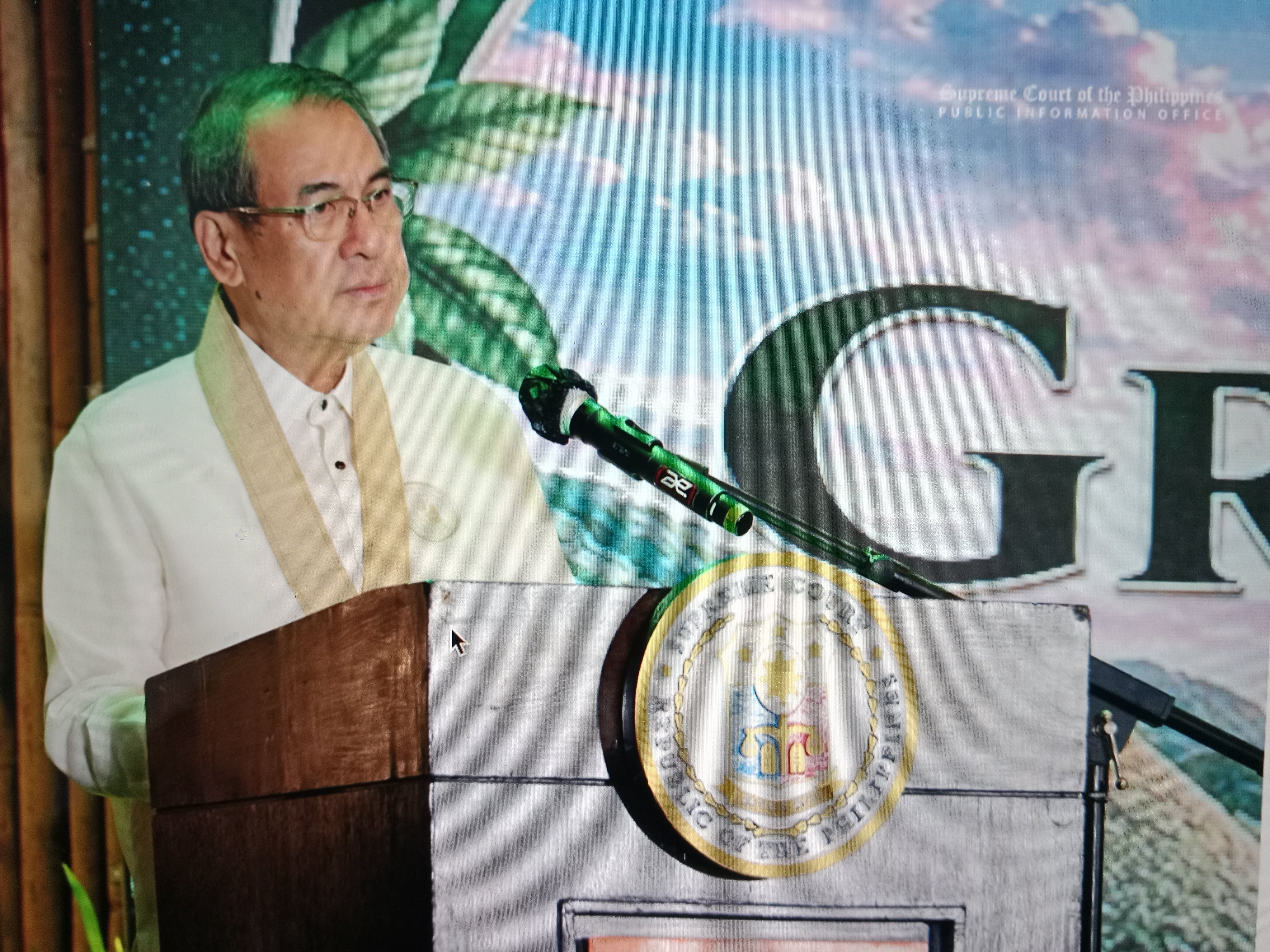 Gesmundo urges judges to advance environmental rule of law