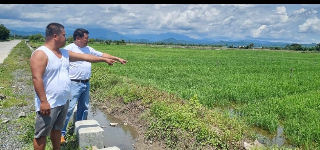 Sablayan shifts crop strategy over El Niño water threat