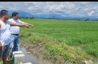 Farmers inspect an irrigated rice field in Sablayan, Occidental Mindoro, amid preparations for possible water shortages due to El Niño.