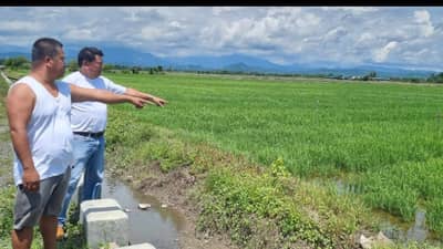 Farmers inspect an irrigated rice field in Sablayan, Occidental Mindoro, amid preparations for possible water shortages due to El Niño.