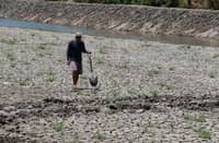 El Niño affects over 96,000 families in 4 regions