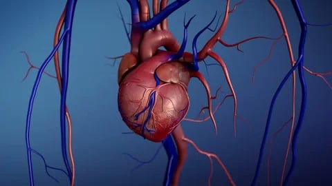 Japan hospital performs first surgery using heart muscle stem cells