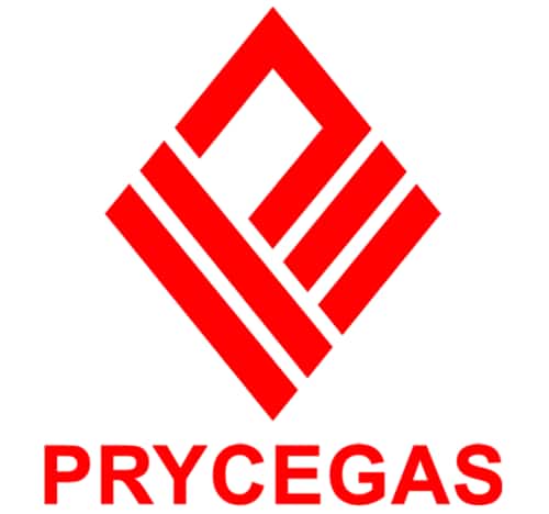 Pryce pares portfolio, drops pharma