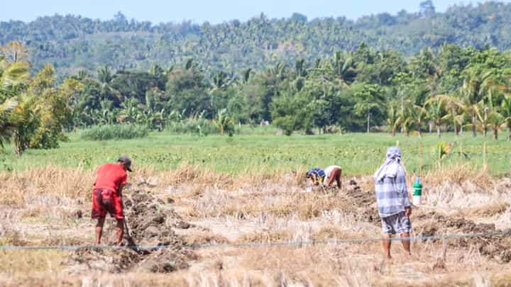 DENR steps up El Niño preparations