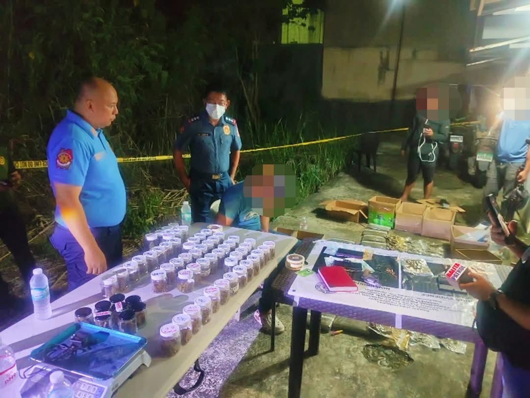 Pangasinan police seize P4.9 million marijuana, arrest 18-year-old
