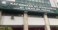 DENR seeks clarity on charcoal rules