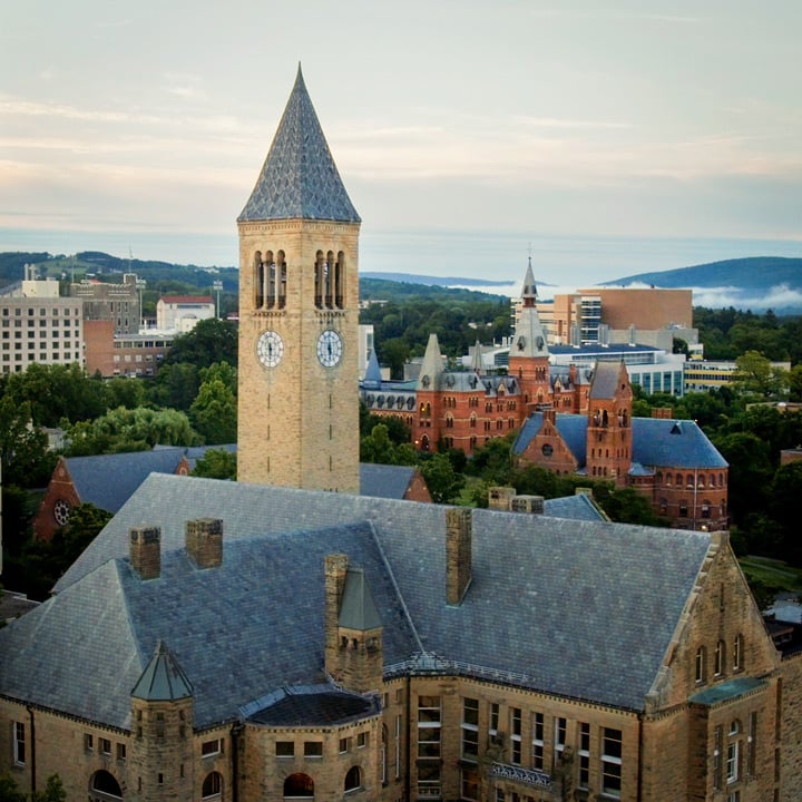Did you know? Cornell University coined the term 'sexual harassment'