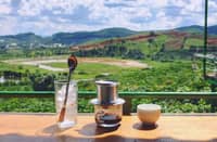 DALAT offers an array of distinctive coffee blends that captivate enthusiasts with their unique flavors.