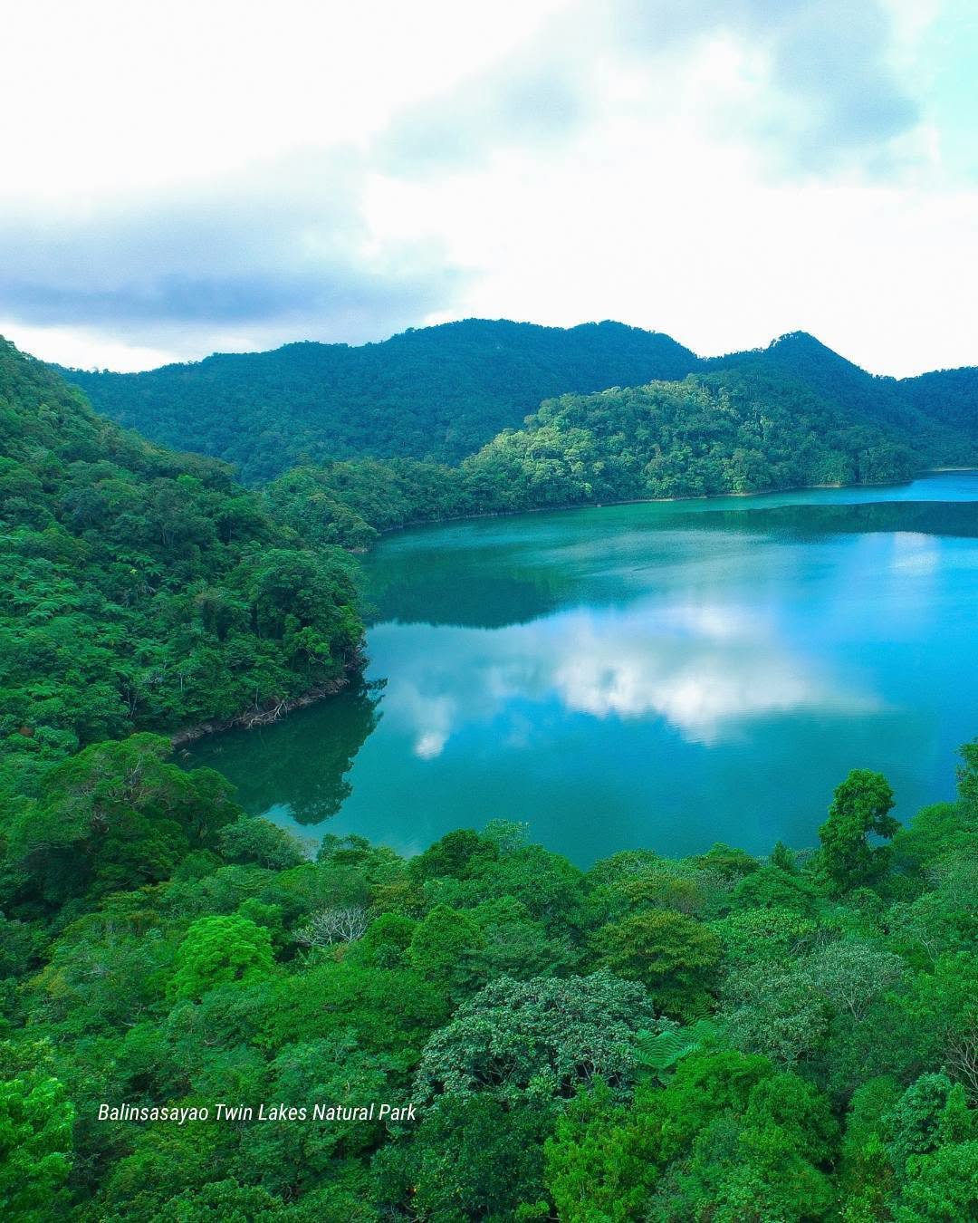 DENR sets forest carbon market regulatory foundations