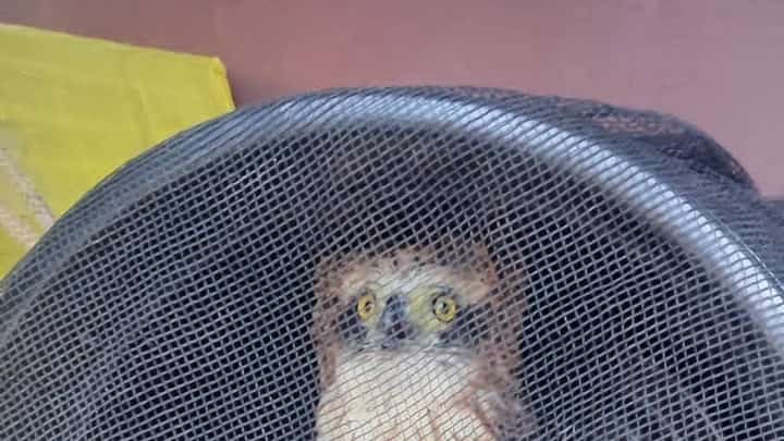 Photo Courtesy of Baguio PIO