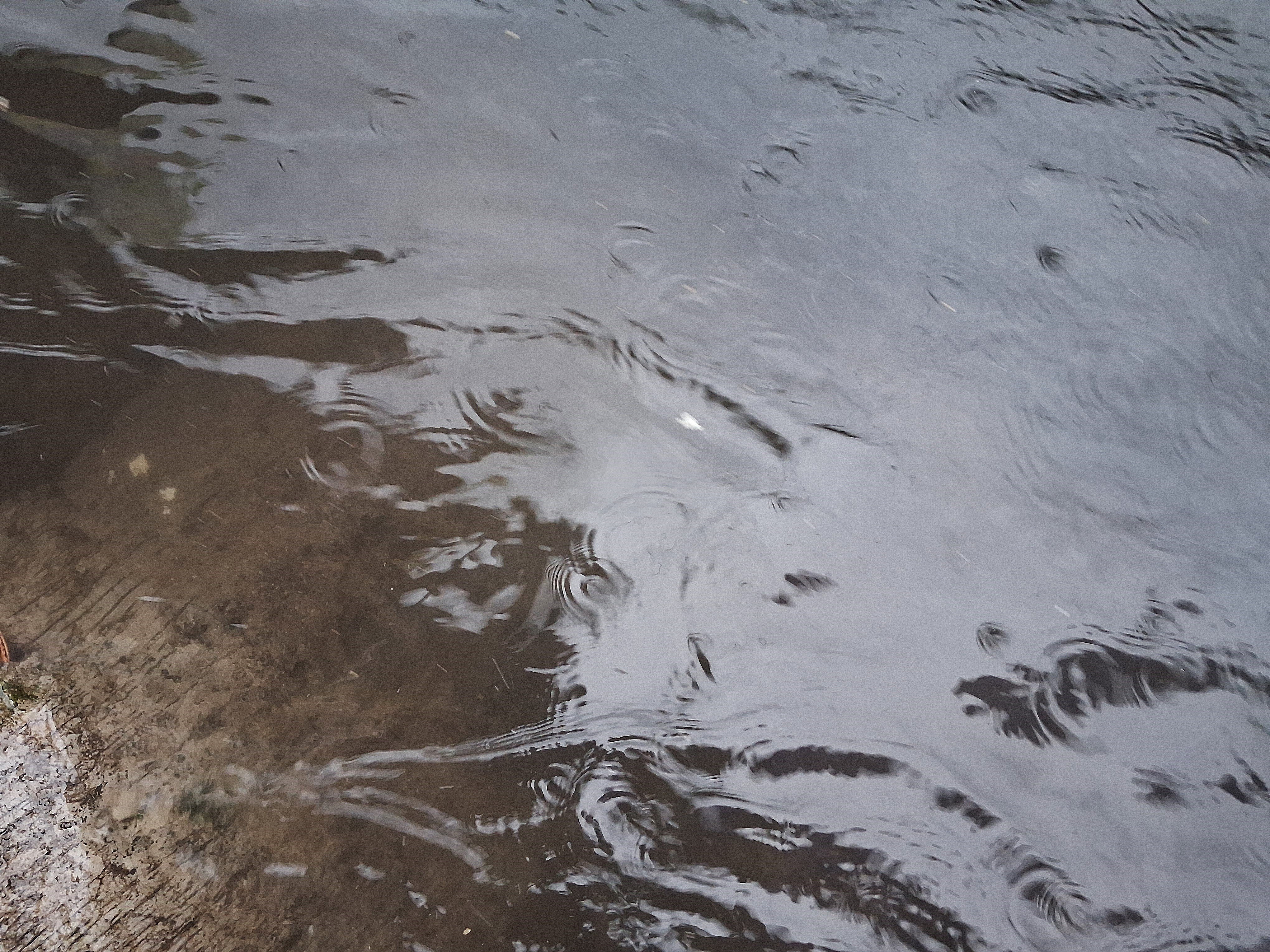 Quezon City logs over 1,000 leptospirosis cases