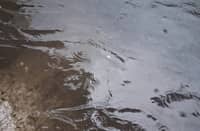 Floodwater in Barangay Tatalon, Quezon City on 29 August 2026 captured at 1:33 p.m. From January 1 to October 1, Tatalon recorded 68 cases of Leptospirosis.
