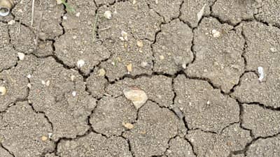 Less rain seen as El Niño looms
